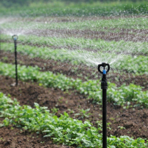 🔶 Micro & Mini Sprinklers