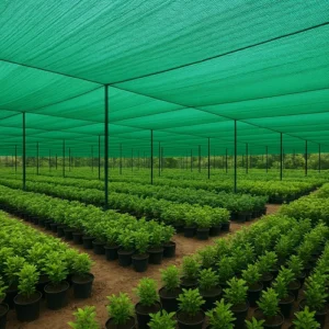 🔶 Environment Controlled Agriculture